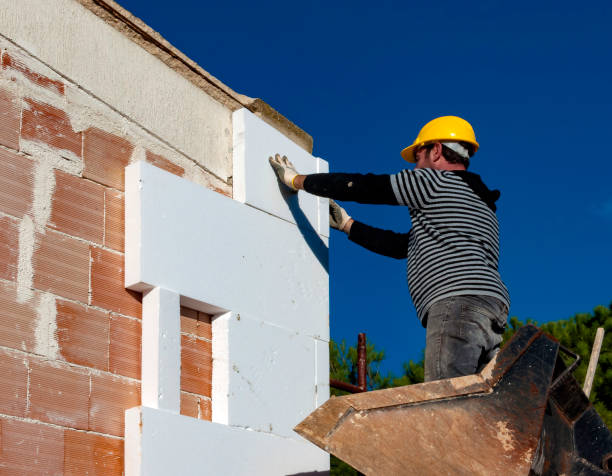Best Cellulose Insulation in Taft Southwest, TX