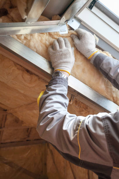 Best Spray Foam Insulation in Taft Southwest, TX