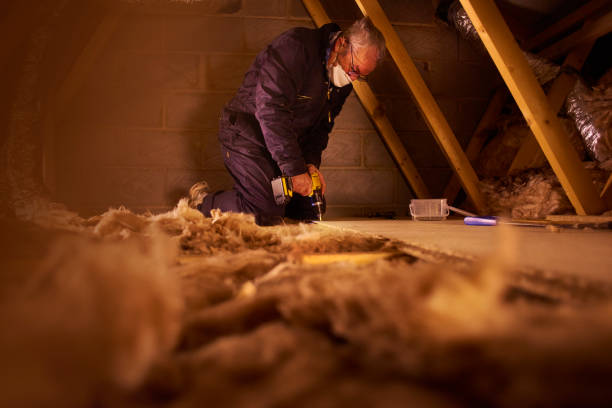 Best Blown-in Insulation in Taft Southwest, TX